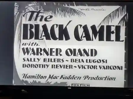 The Black Camel photo