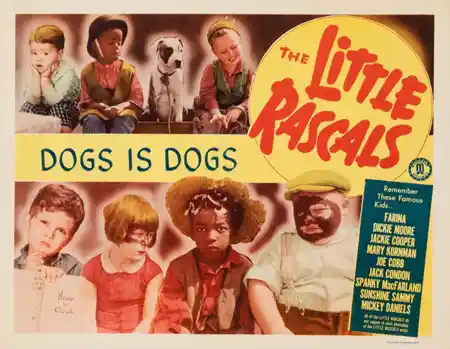 Dogs Is Dogs