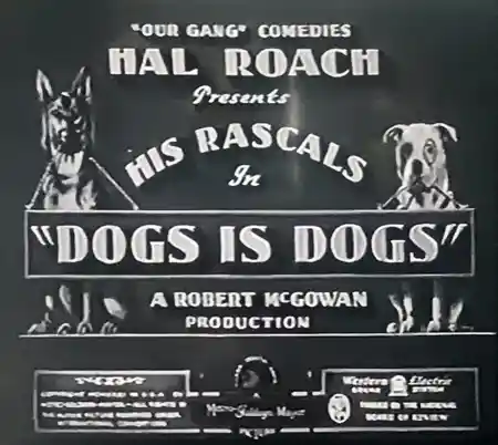Dogs Is Dogs