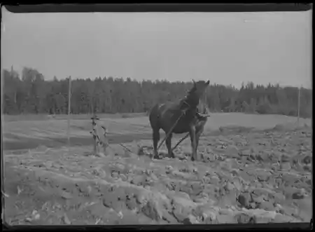 Flickan från Värmland photo