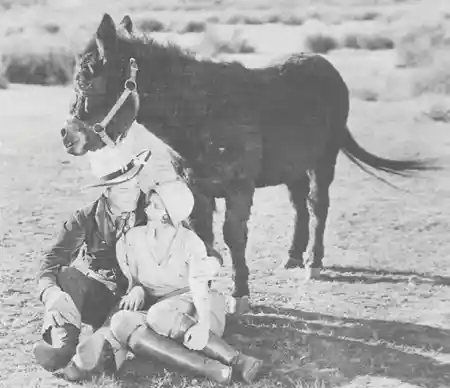 In Old Cheyenne photo