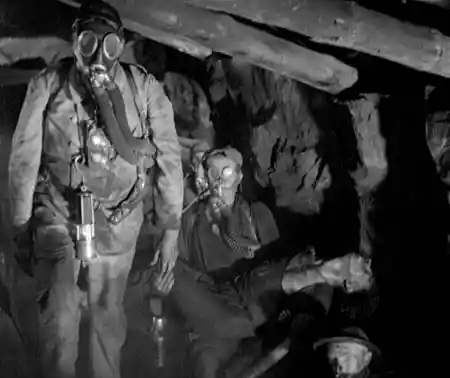 Comradeship scene