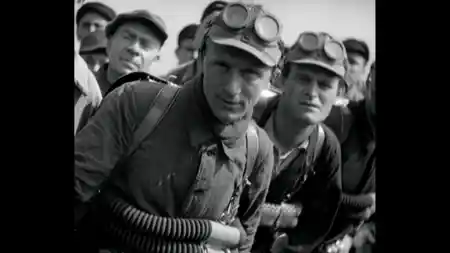 Comradeship photo