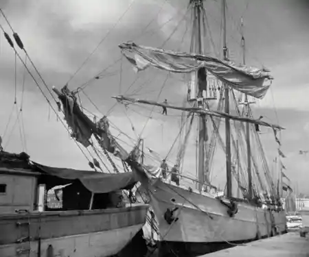 Marius scene