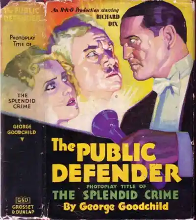 The Public Defender