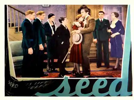 Seed scene