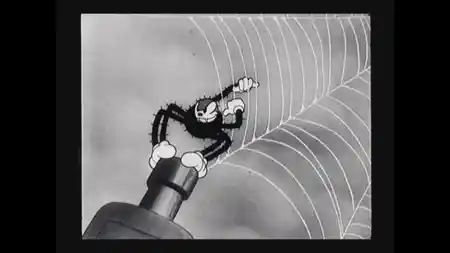 The Spider and the Fly photo