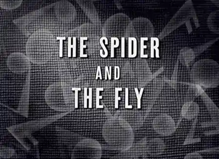 The Spider and the Fly photo