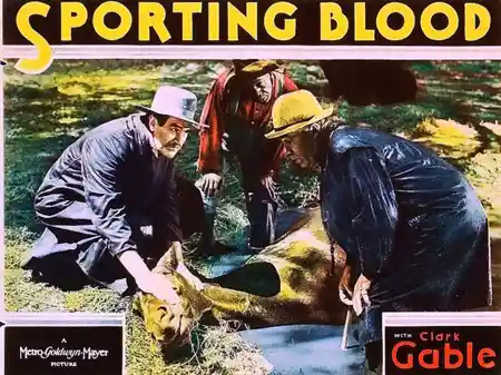 Sporting Blood photo