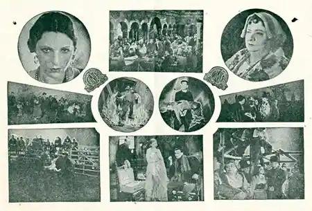 Terra madre photo