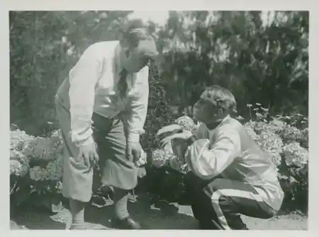 Ungkarlsparadiset scene
