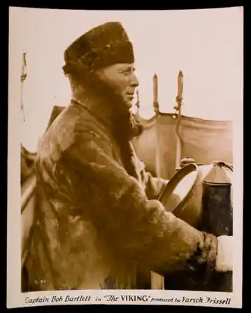 The Viking