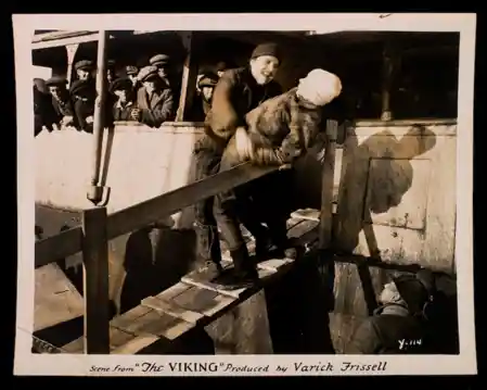 The Viking