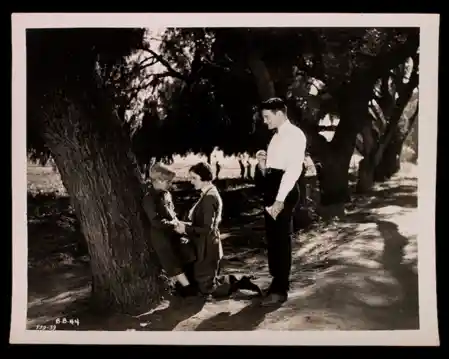 Young Donovan's Kid photo