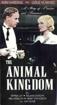 The Animal Kingdom photo