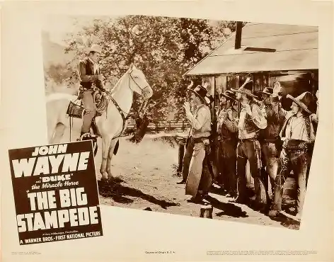 The Big Stampede photo