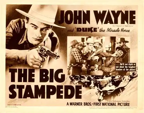 The Big Stampede photo