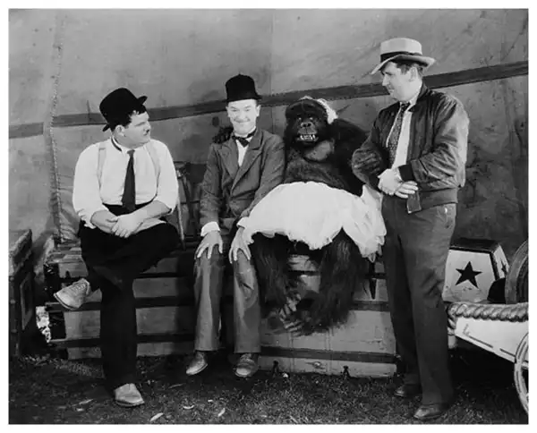 The Chimp photo
