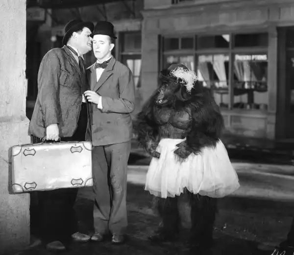 The Chimp photo