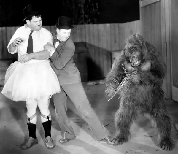 The Chimp photo