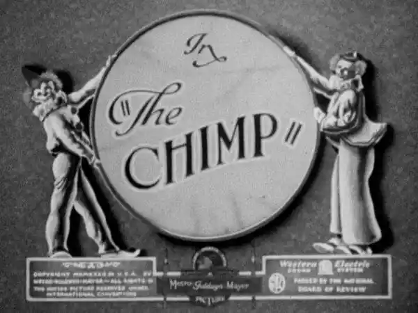 The Chimp photo
