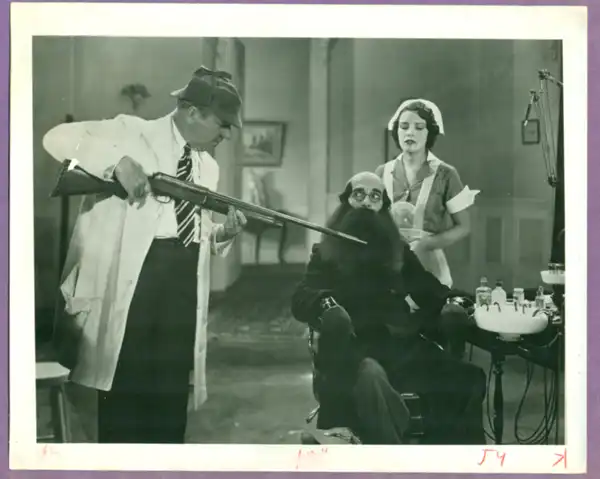 The Dentist photo