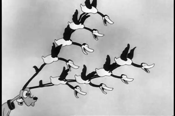 The Duck Hunt