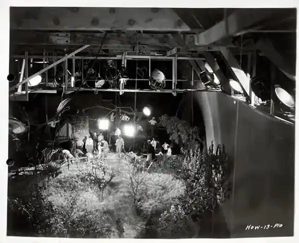 The First Year photo