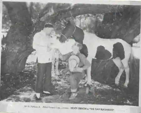 The Gay Buckaroo photo
