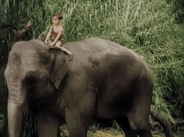 Kid 'in' Africa photo
