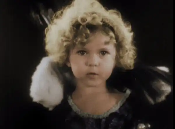 Kid in Hollywood photo