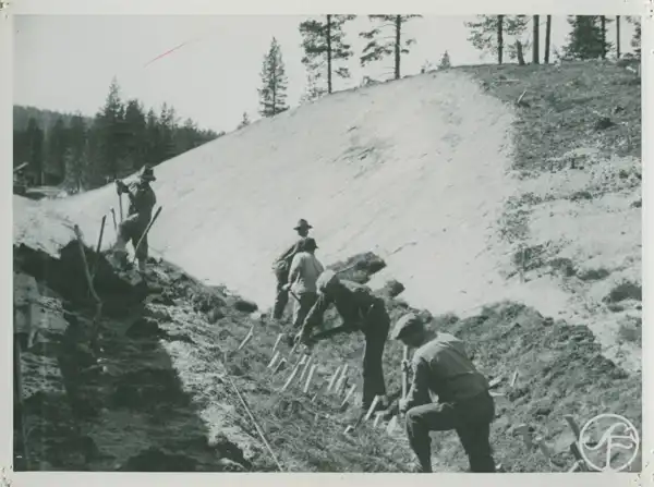 Kronans rallare photo