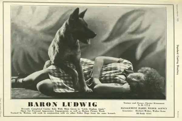 Little Orphan Annie photo