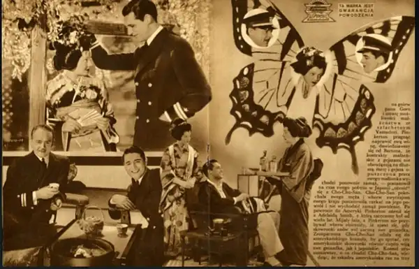Madame Butterfly photo