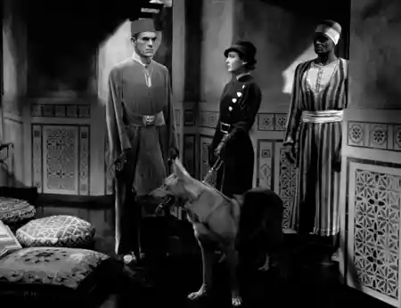 The Mummy