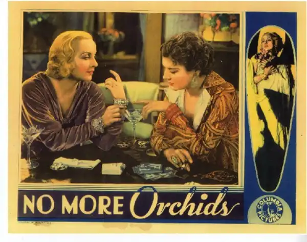 No More Orchids photo