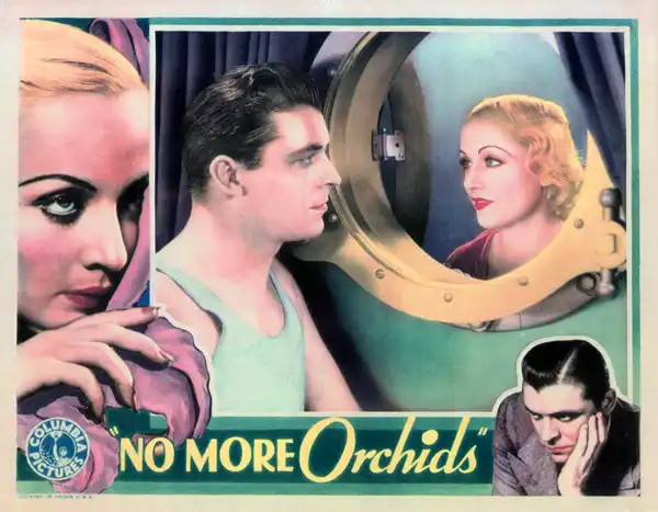 No More Orchids photo