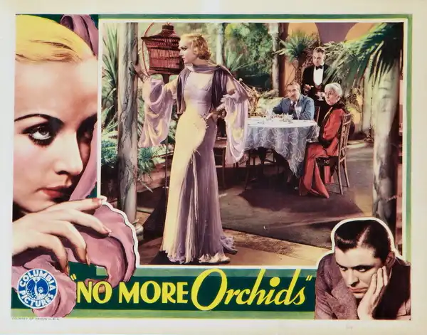No More Orchids photo
