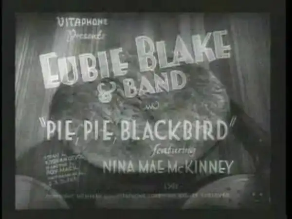 Pie, Pie, Blackbird photo