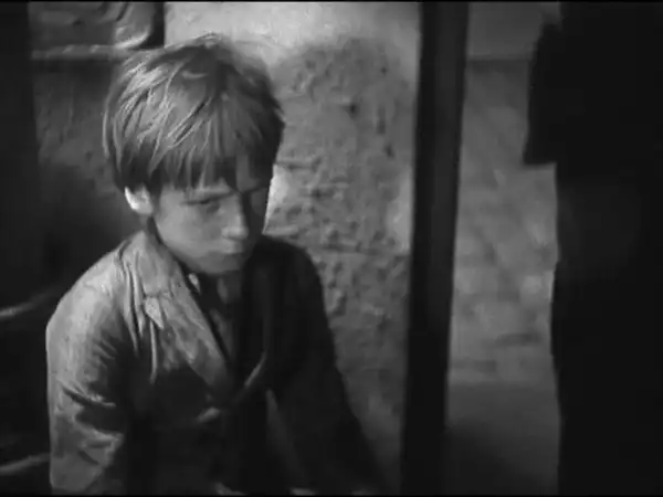Poil de carotte photo
