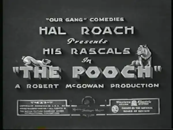 The Pooch