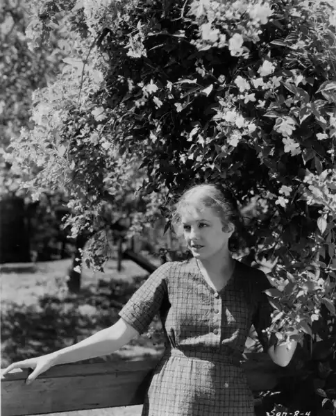 Rebecca of Sunnybrook Farm photo