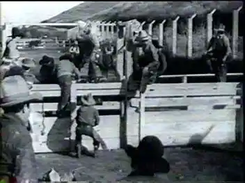 The Saddle Buster