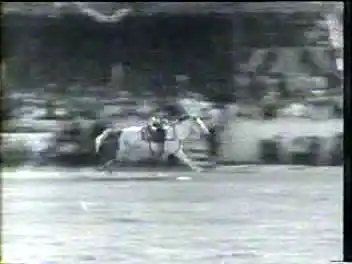 The Saddle Buster