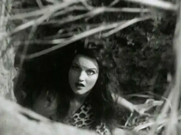 The Savage Girl photo