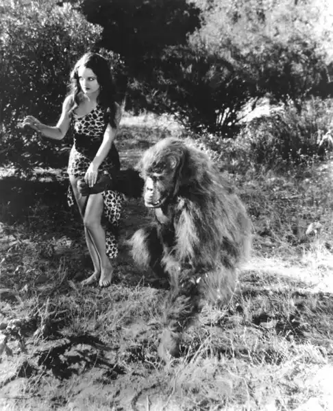 The Savage Girl photo