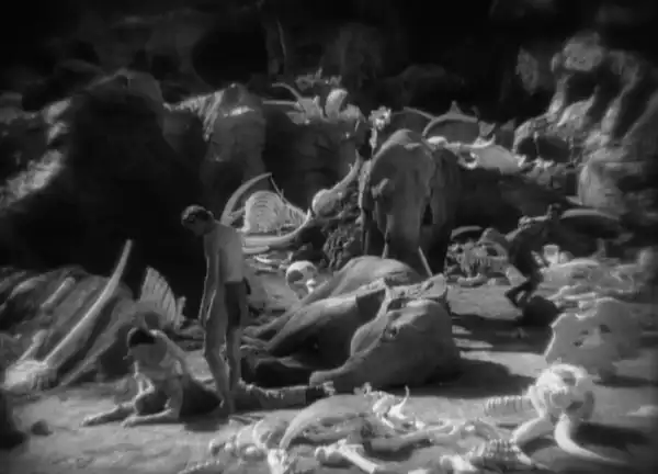Tarzan the Ape Man photo