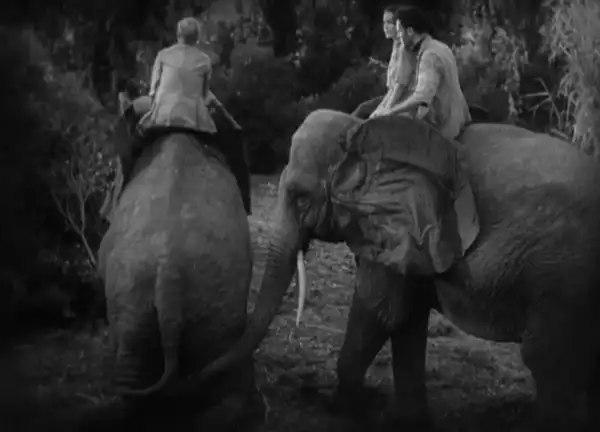 Tarzan the Ape Man photo