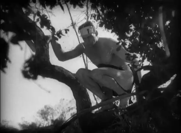 Tarzan the Ape Man photo