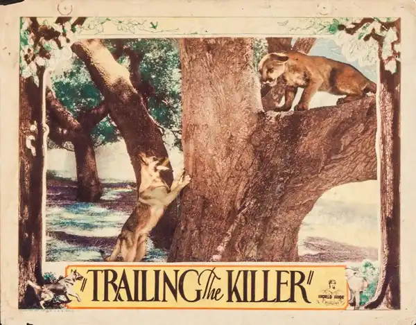 Trailing the Killer scene